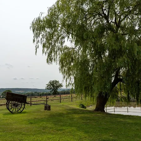 Du Manoir De Berville Saint-Pierre-en-Auge