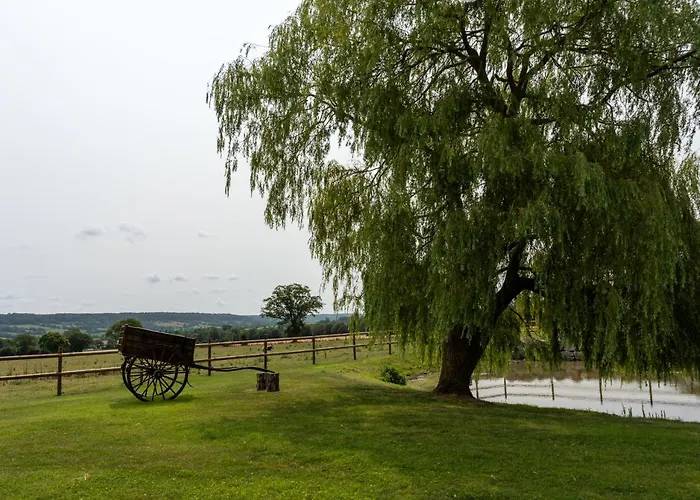 Du Manoir De Berville Saint-Pierre-en-Auge
